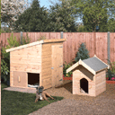 Dog kennels
